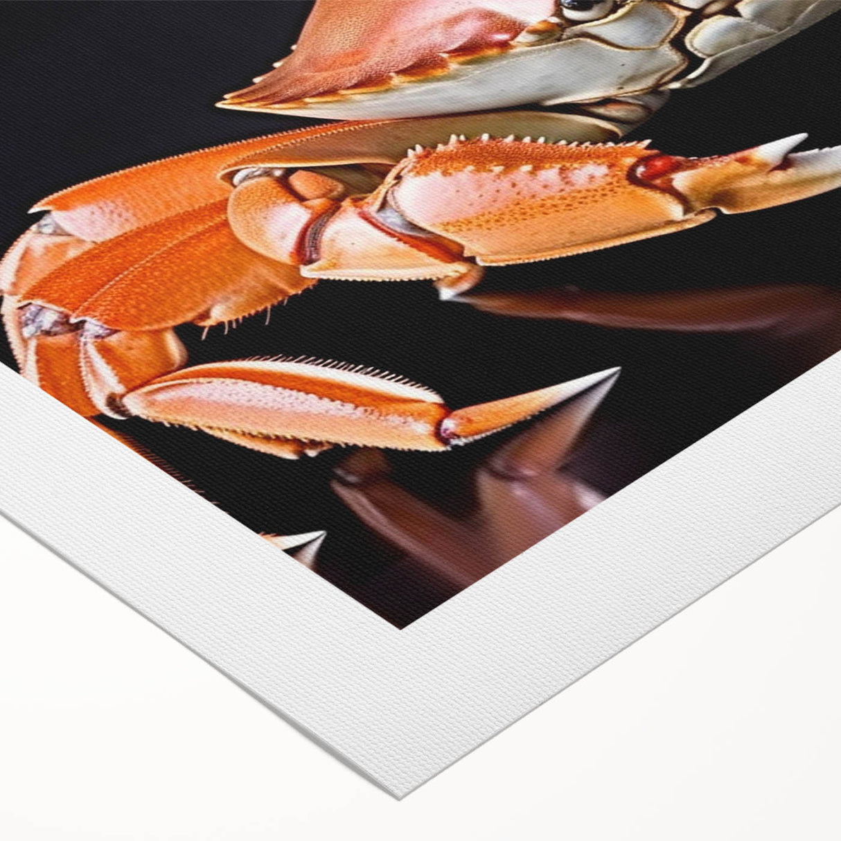Colorful marine life crab design on rolled canvas wall art, showcasing intricate details and vibrant hues, perfect for ocean-themed decor.