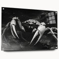 Acrylic wall art collection featuring a vibrant marine life crab design, displayed in a side view with pins, perfect for coastal-themed decor.