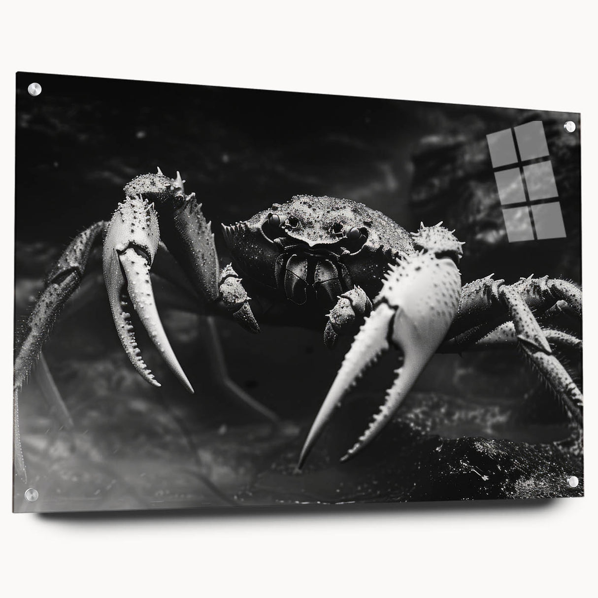 Acrylic wall art collection featuring a vibrant marine life crab design, displayed in a side view with pins, perfect for coastal-themed decor.