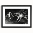 Framed marine life wall art featuring a vibrant crab design, showcased in a sleek black frame with a mat, perfect for coastal-themed decor. Ideal for ocean lovers.