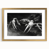 Framed wall art featuring a detailed marine life crab design in gold, elegantly matted and showcased in a contemporary frame, perfect for ocean-themed decor.