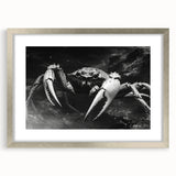 Framed marine life wall art featuring a detailed crab design in vibrant colors, set against a silver mat, ideal for coastal-themed decor.