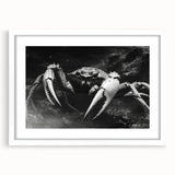 Framed wall art collection showcasing a vibrant crab design, featuring a white mat and sleek frame, perfect for marine life enthusiasts and coastal decor.