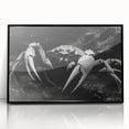 Framed wall art featuring a vibrant marine life crab design in black acrylic, showcasing intricate details and colors, perfect for ocean-themed decor.