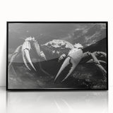 Framed wall art featuring a vibrant marine life crab design in black acrylic, showcasing intricate details and colors, perfect for ocean-themed decor.