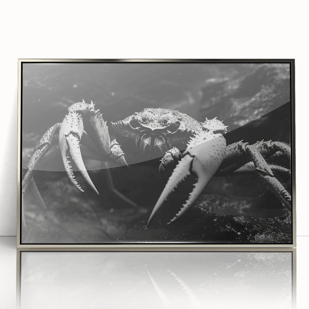 Framed acrylic wall art featuring a detailed crab design in silver tones, showcasing marine life with a modern aesthetic, perfect for coastal-themed decor.