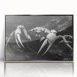 Framed acrylic wall art featuring a detailed crab design in silver tones, showcasing marine life with a modern aesthetic, perfect for coastal-themed decor.