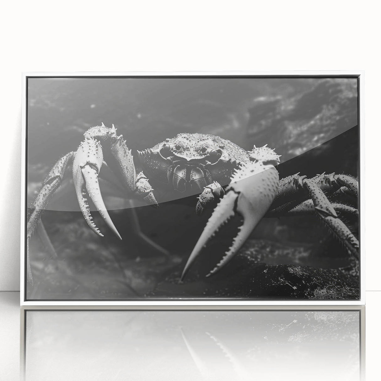 Framed wall art collection showcasing a vibrant marine life crab design with intricate details and a white acrylic frame, perfect for ocean-themed decor.