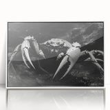 Framed wall art collection showcasing a vibrant marine life crab design with intricate details and a white acrylic frame, perfect for ocean-themed decor.