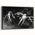 Framed canvas wall art featuring a vibrant marine life crab design, showcasing intricate details and a striking black frame, perfect for ocean-themed decor.