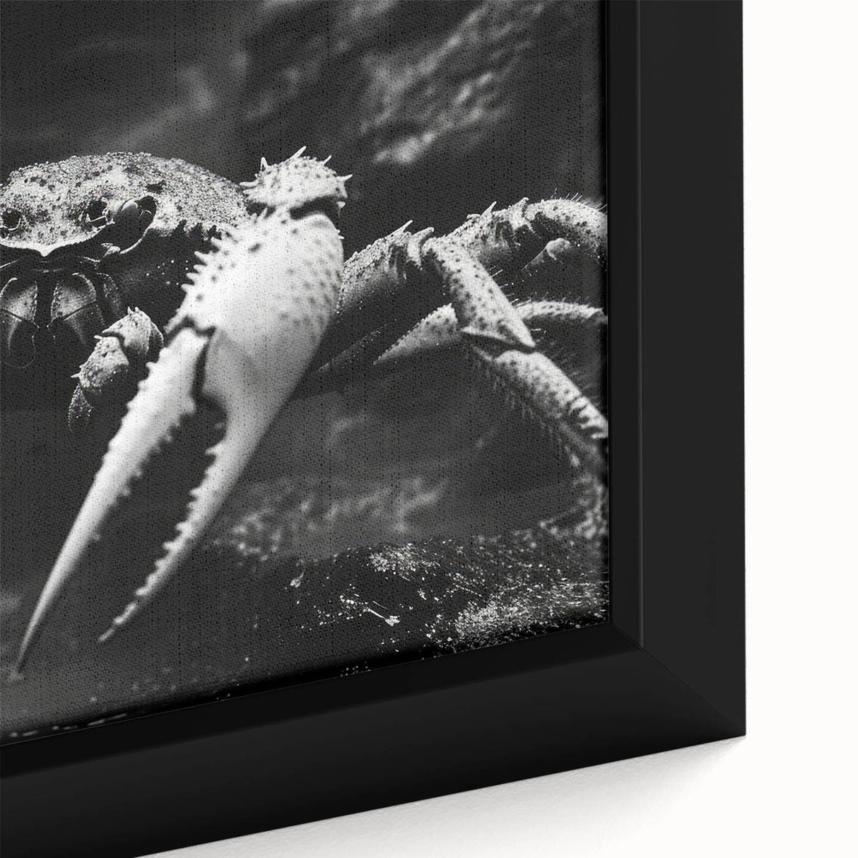 Close-up of a framed canvas wall art design featuring a vibrant marine life crab illustration, showcasing intricate details and vivid colors, perfect for ocean-themed decor.