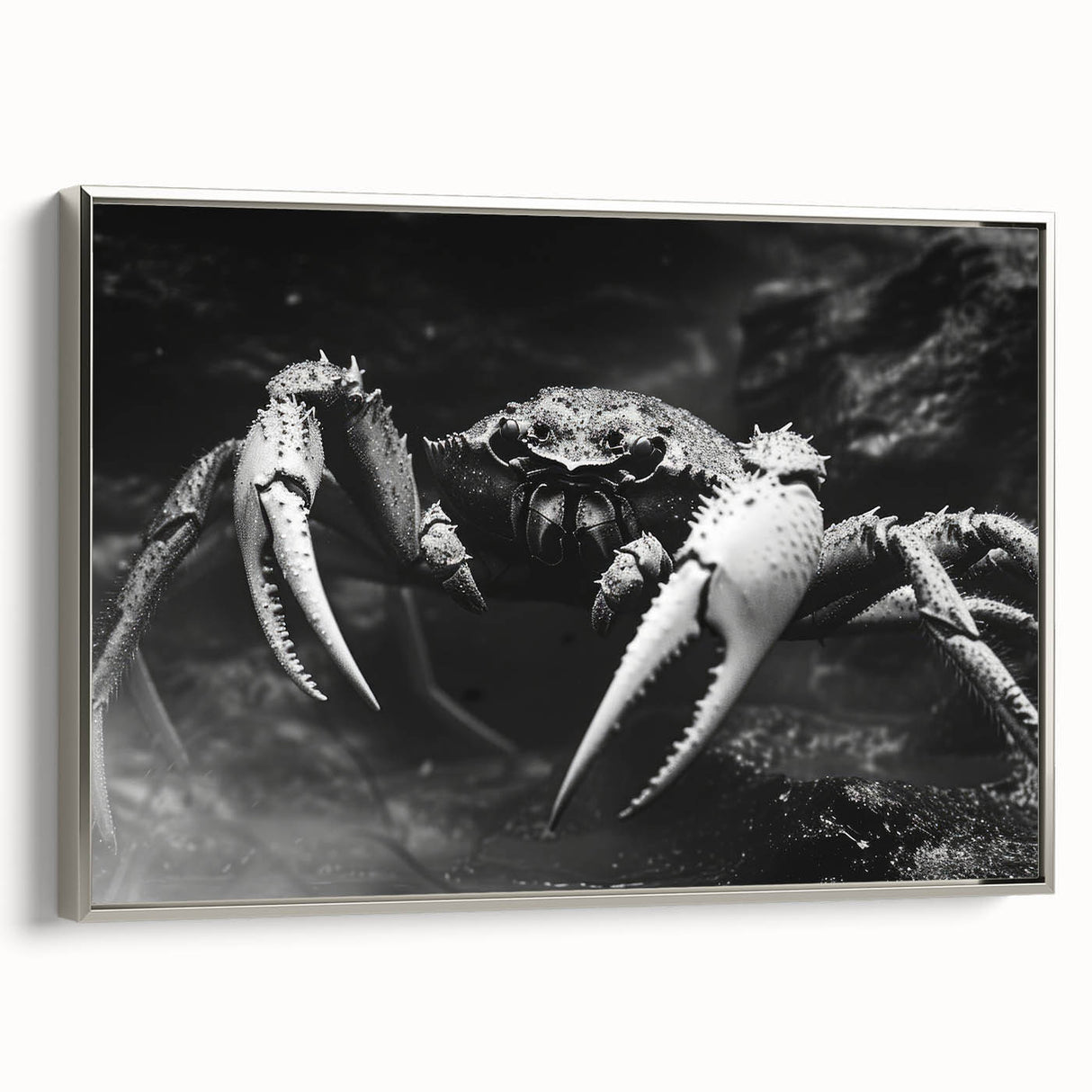 Framed wall art featuring a detailed marine life crab design in vibrant colors, displayed from a side view. The artwork is enhanced with a sleek silver frame, perfect for coastal-themed decor.