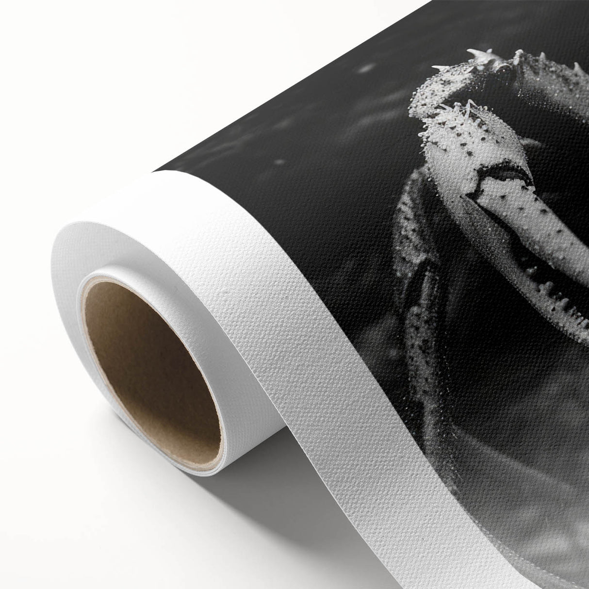 Colorful rolled canvas showcasing a vibrant marine life crab design, perfect for beach-themed decor. Ideal for adding a coastal touch to any room.