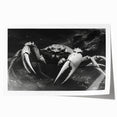 Colorful marine life wall art featuring a detailed crab design on a rolled print, ideal for ocean-themed decor. The artwork showcases vibrant colors and intricate patterns, perfect for adding a coastal touch to any space.