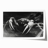 Colorful marine life wall art featuring a detailed crab design on a rolled print, ideal for ocean-themed decor. The artwork showcases vibrant colors and intricate patterns, perfect for adding a coastal touch to any space.