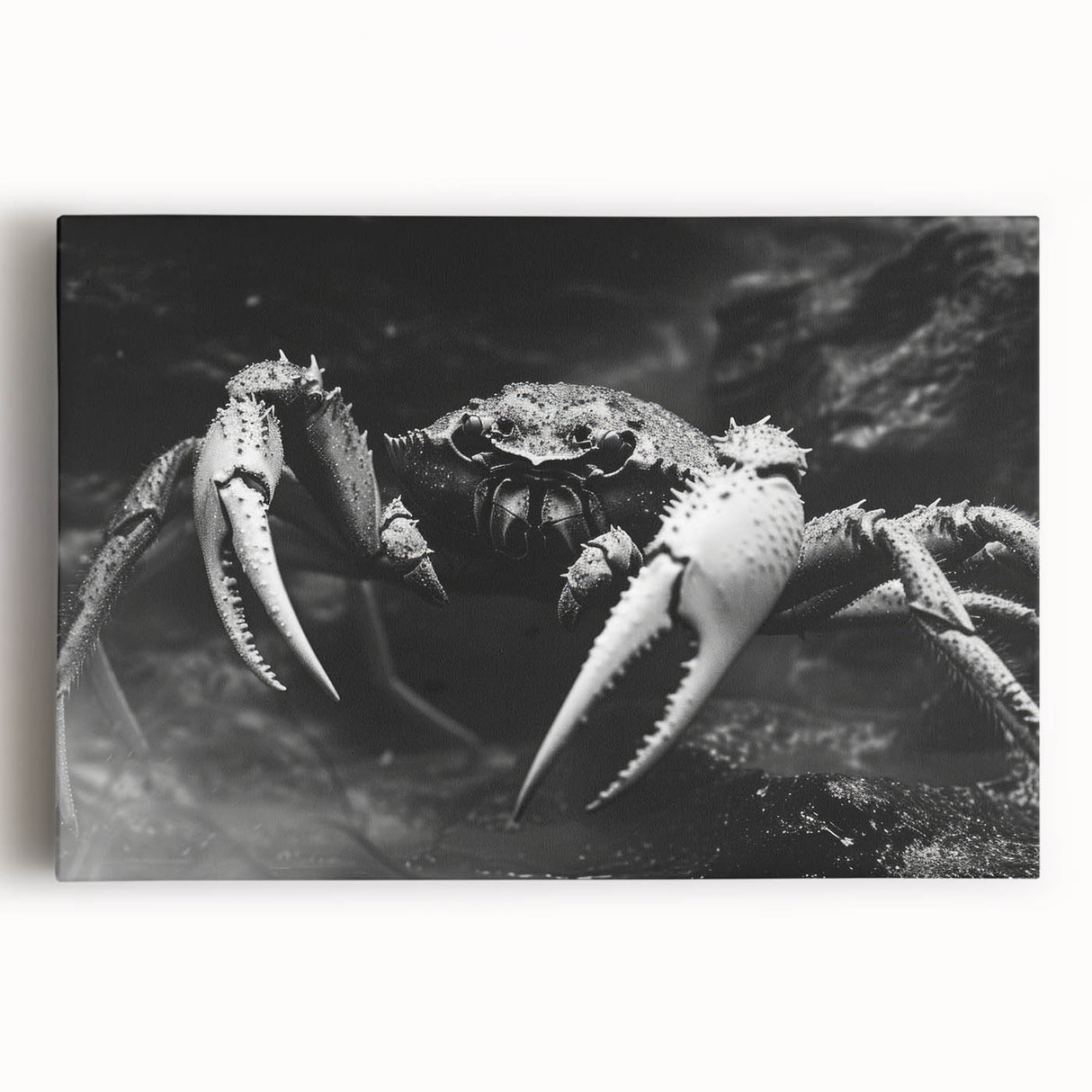 Vibrant marine-themed wall art featuring a detailed crab design on stretched canvas, showcasing intricate textures and colors, perfect for coastal decor enthusiasts.