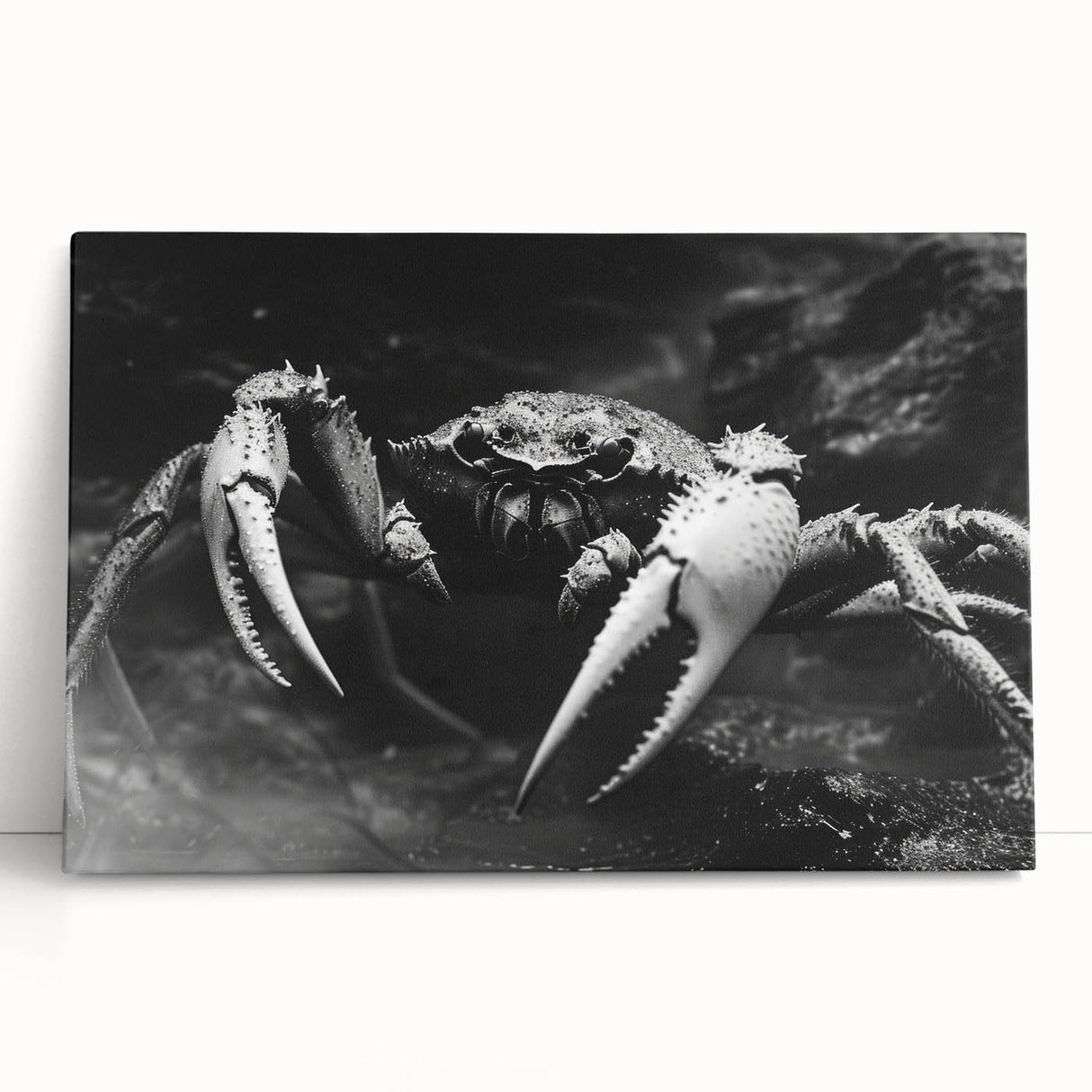 Vibrant stretched canvas wall art showcasing a detailed marine life crab design, perfect for coastal-themed decor, featuring rich colors and textures.