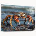 Colorful marine life crab wall art displayed on acrylic glass, showcasing intricate design details from a side view, perfect for coastal-themed decor.