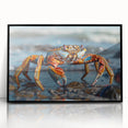 Framed wall art featuring a vibrant marine life crab design, set in a black frame, showcasing intricate details and vivid colors, ideal for ocean-themed decor.