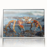 Framed wall art depicting a vibrant crab design in marine life theme, featuring a white frame and acrylic front, perfect for coastal home decor.