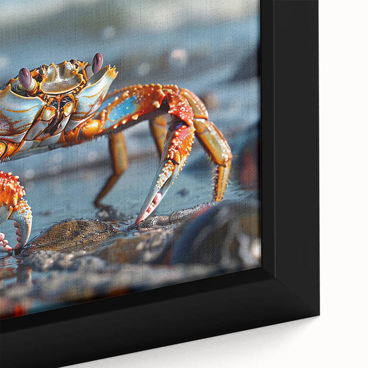 Close-up of a vibrant framed canvas wall art featuring a detailed marine life crab design, showcasing rich colors and textures, perfect for coastal-themed decor.