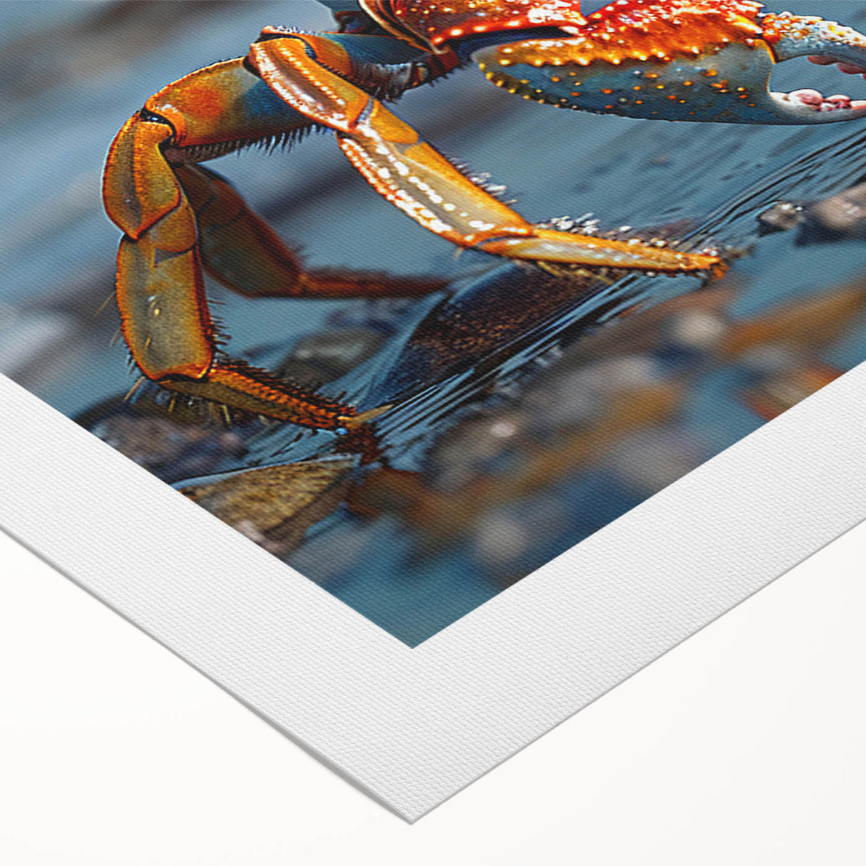Vibrant rolled canvas wall art featuring a detailed marine life crab design, showcasing intricate colors and textures, ideal for beach-themed decor.