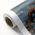 Colorful rolled canvas artwork showcasing a detailed marine life crab design, perfect for coastal decor. Packaged securely in a protective cardboard tube for safe delivery.