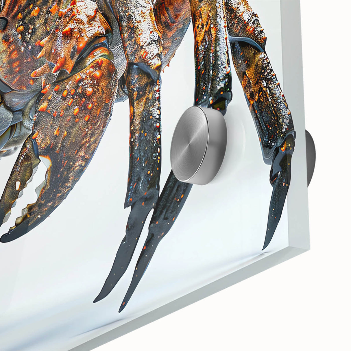 Close-up of a marine life-themed wall art piece showcasing a vibrant crab design, printed on acrylic glass, perfect for coastal decor enthusiasts.
