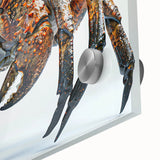 Close-up of a marine life-themed wall art piece showcasing a vibrant crab design, printed on acrylic glass, perfect for coastal decor enthusiasts.