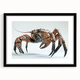 Framed marine life wall art displaying a detailed crab design with a black mat and frame, perfect for ocean-themed decor in homes or offices.