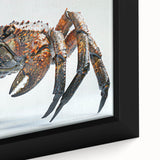 Close-up of a framed canvas wall art piece showcasing a vibrant marine life crab design with intricate details, perfect for ocean-themed decor.