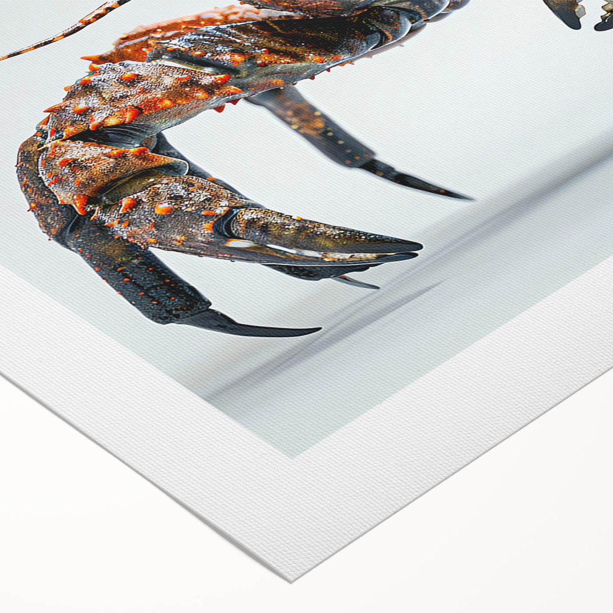 Vibrant rolled canvas wall art showcasing a detailed marine life crab design, perfect for coastal decor, presented in a protective cardboard tube for easy display.