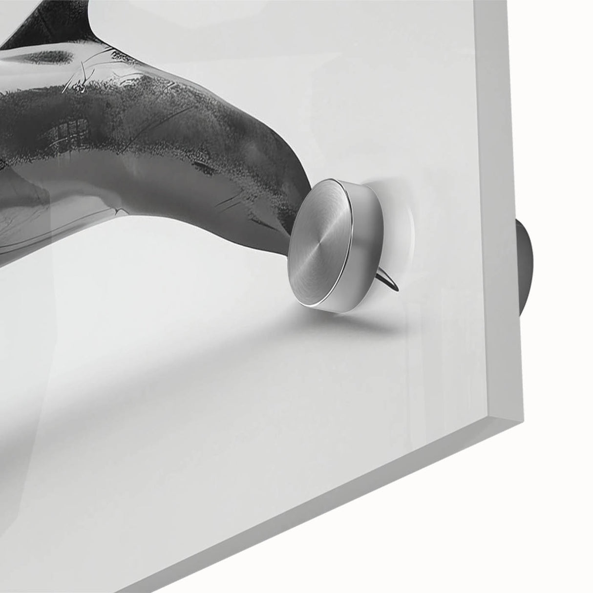 Close-up of a vibrant dolphin-themed wall art piece, featuring intricate marine life designs on acrylic glass, perfect for ocean-inspired decor.