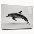Acrylic wall art collection showcasing a vibrant dolphin design, featuring a side view with colorful marine life elements and decorative pins for display.