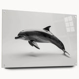 Acrylic wall art collection showcasing a vibrant dolphin design, featuring a side view with colorful marine life elements and decorative pins for display.