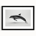 Framed wall art collection showcasing a vibrant dolphin design on a black mat, perfect for marine life enthusiasts. Ideal for living spaces or offices.