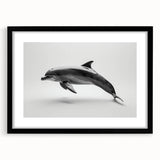 Framed wall art collection showcasing a vibrant dolphin design on a black mat, perfect for marine life enthusiasts. Ideal for living spaces or offices.