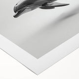 Colorful rolled canvas wall art showcasing a vibrant dolphin design amidst ocean waves, perfect for marine life enthusiasts, packaged securely for easy display.