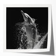 Vibrant dolphin wall art featuring marine life design, showcasing glossy finish and dynamic ocean colors, perfect for home decor or ocean-themed rooms.