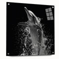 Dolphin-themed wall art in a vibrant marine life design, displayed in a sleek acrylic frame with pin mounting for a contemporary look. Ideal for ocean lovers.
