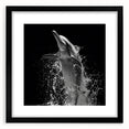 Framed black wall art depicting a vibrant dolphin design, showcasing marine life themes, perfect for ocean enthusiasts and home decor.