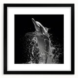 Framed black wall art depicting a vibrant dolphin design, showcasing marine life themes, perfect for ocean enthusiasts and home decor.