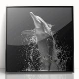 Framed wall art collection showcasing a vibrant dolphin design in acrylic, featuring a sleek black frame. Perfect for marine life enthusiasts and modern decor.