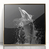 Framed wall art collection showcasing a vibrant dolphin design in rich colors, featuring a sleek acrylic front with a gold frame, perfect for marine life enthusiasts.
