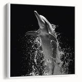 Framed canvas wall art showcasing a vibrant dolphin design in marine life theme, featuring a white background and side view perspective, perfect for ocean enthusiasts.