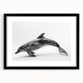 Framed wall art featuring a dolphin design, showcasing intricate marine life details with a black frame and matting, ideal for ocean-themed decor.