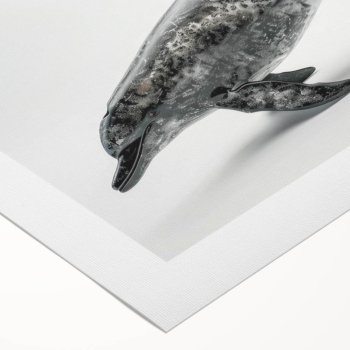 Colorful dolphin design on rolled canvas wall art, featuring vibrant marine life motifs to enhance any ocean-themed decor. Ideal for nature lovers and beach aesthetics.