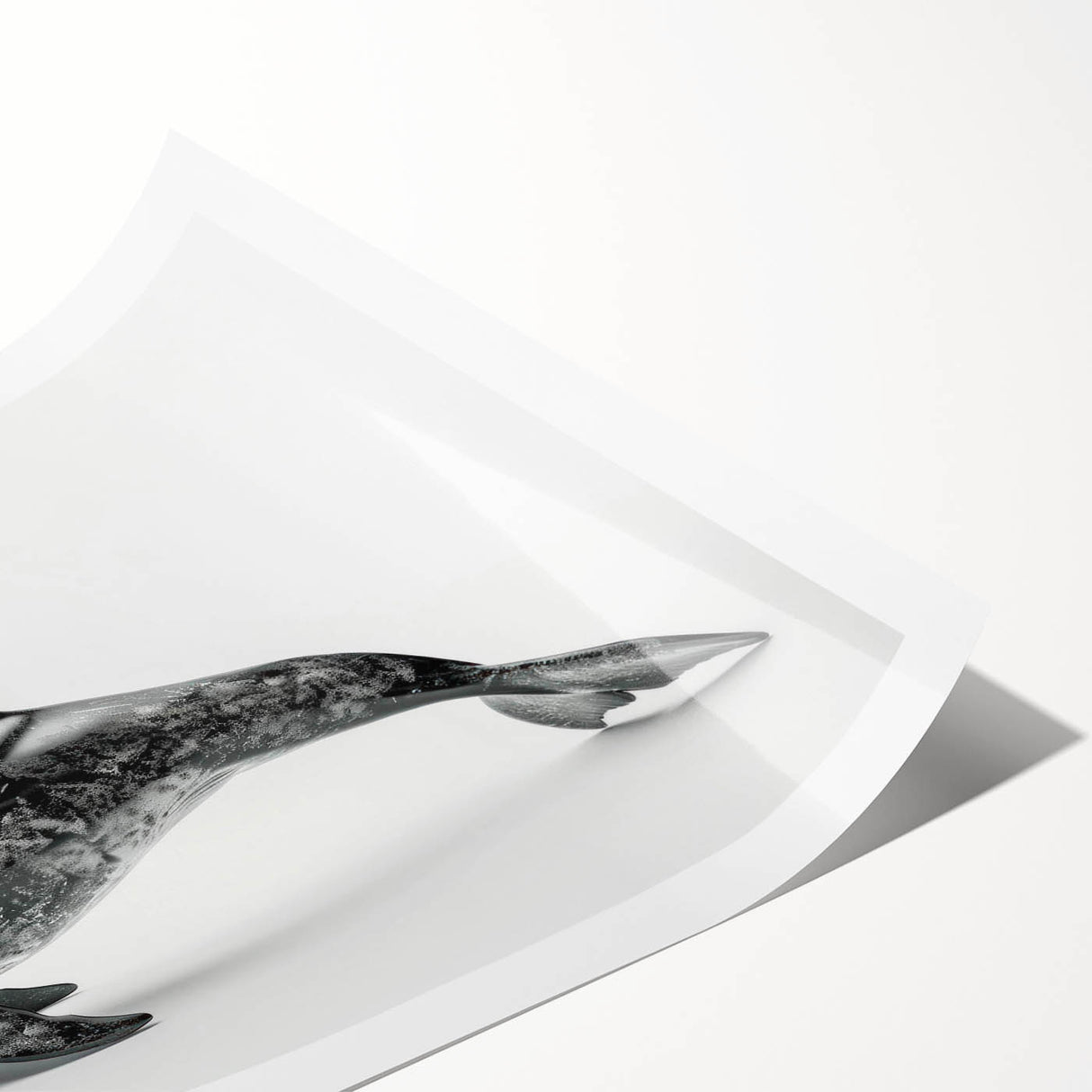 Dolphin-themed wall art print featuring vibrant marine life design, showcasing detailed illustrations of dolphins in a dynamic underwater scene, ideal for ocean lovers.