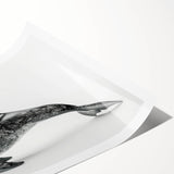 Dolphin-themed wall art print featuring vibrant marine life design, showcasing detailed illustrations of dolphins in a dynamic underwater scene, ideal for ocean lovers.