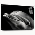 Acrylic wall art showcasing a vibrant dolphin design in a marine life theme, viewed from the side with visible mounting pins, ideal for ocean-themed decor.